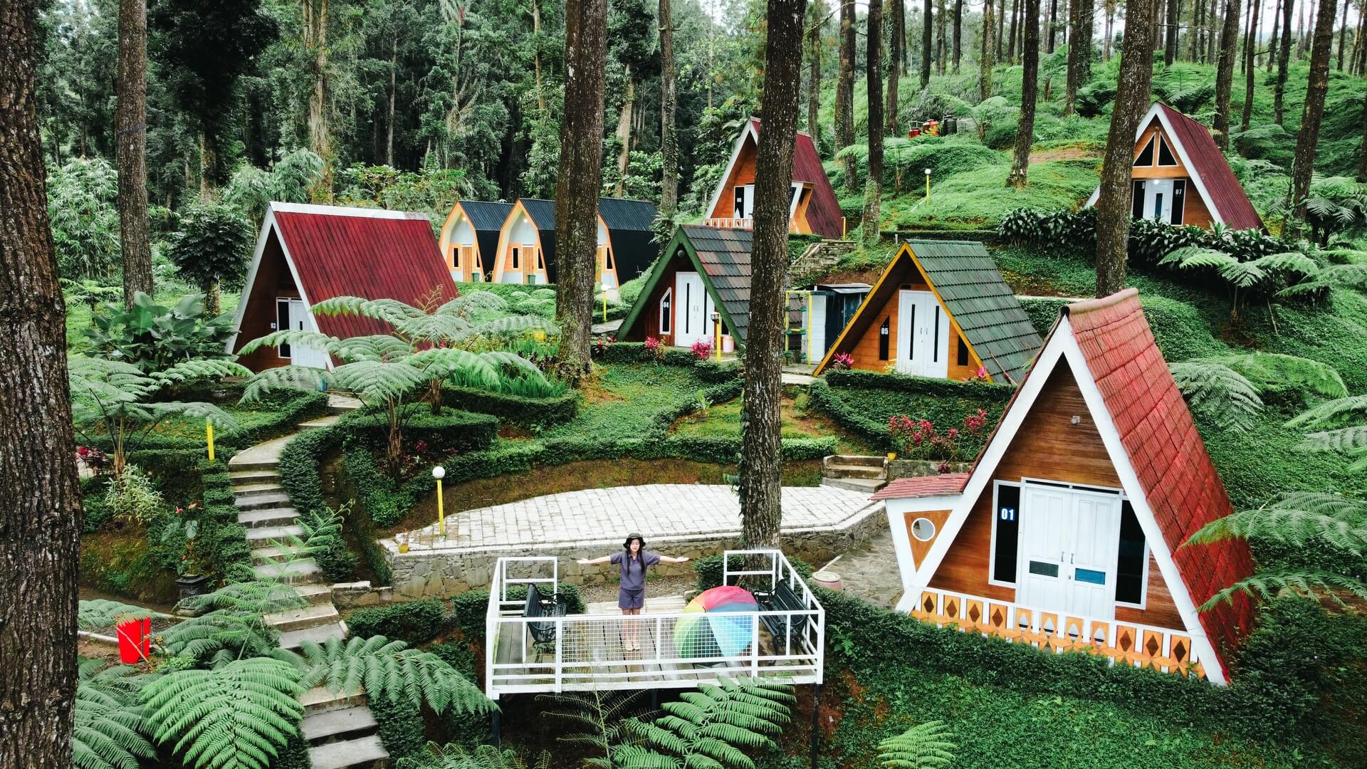 Hutan Pinus Limpakuwus